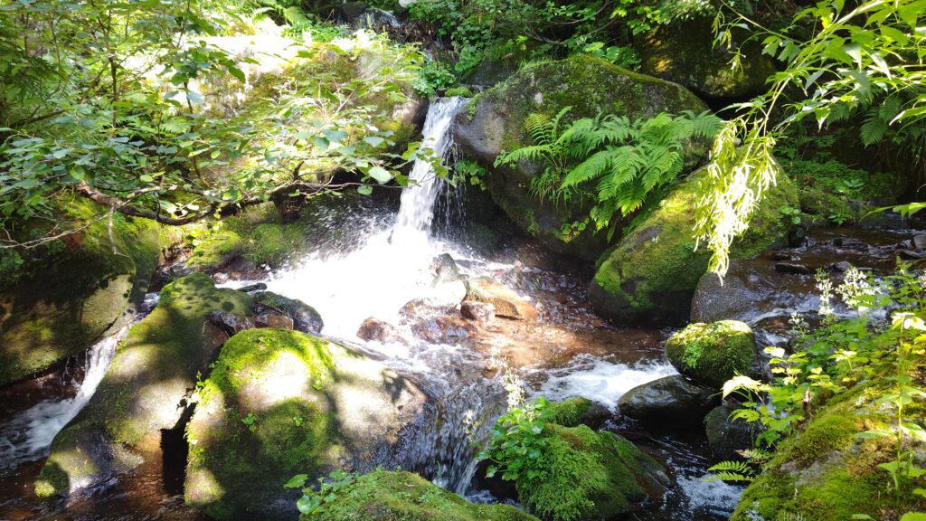 涼し気なせせらぎ