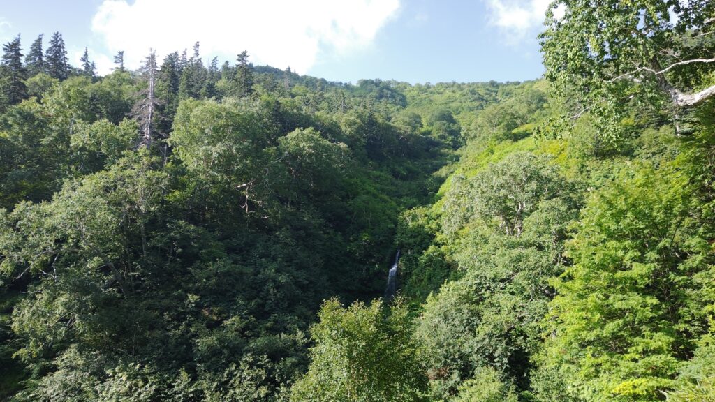 遠くに見える滝